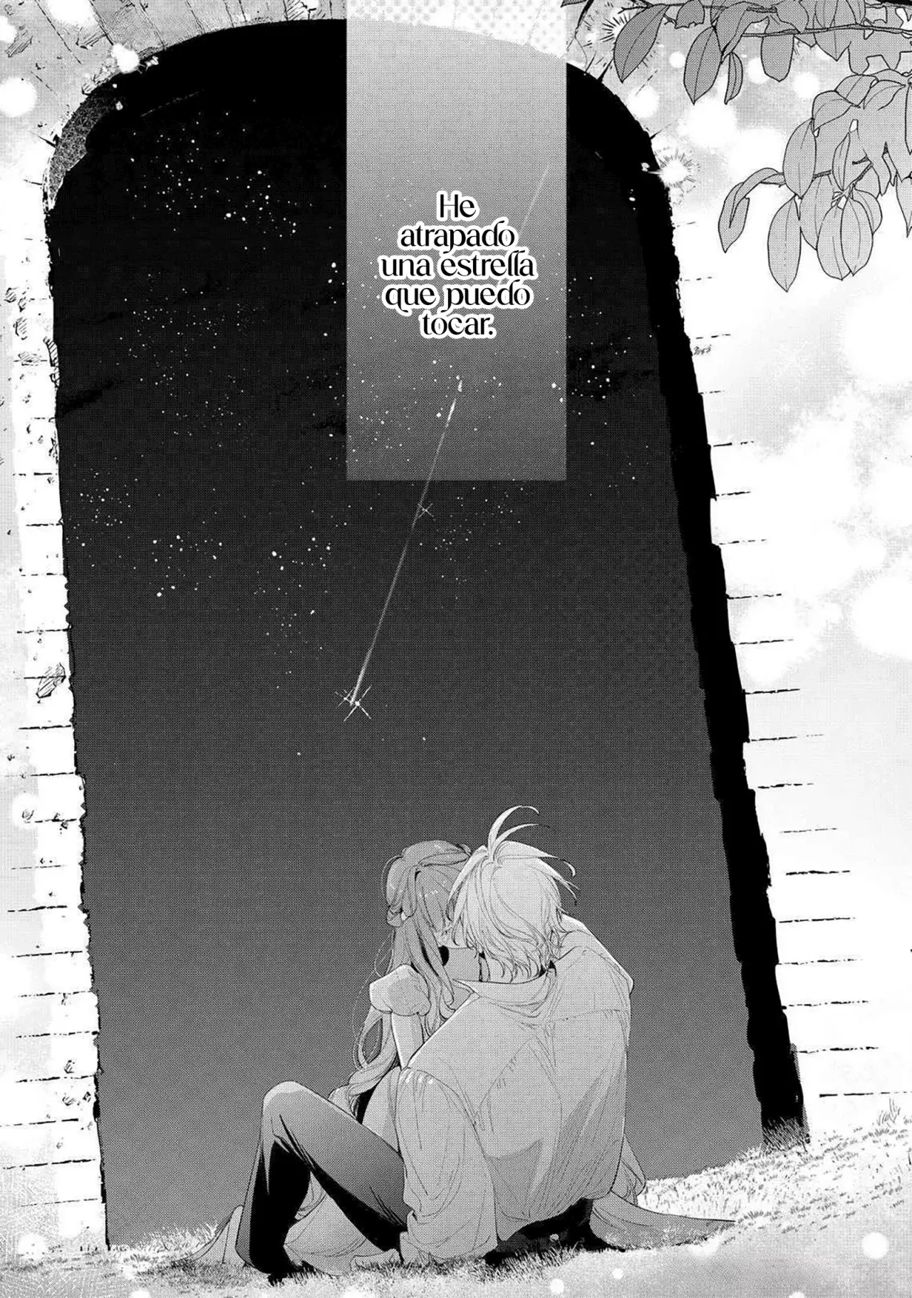 Hana himeru kimi no meteor Capítulo 20 - Página 33 en español