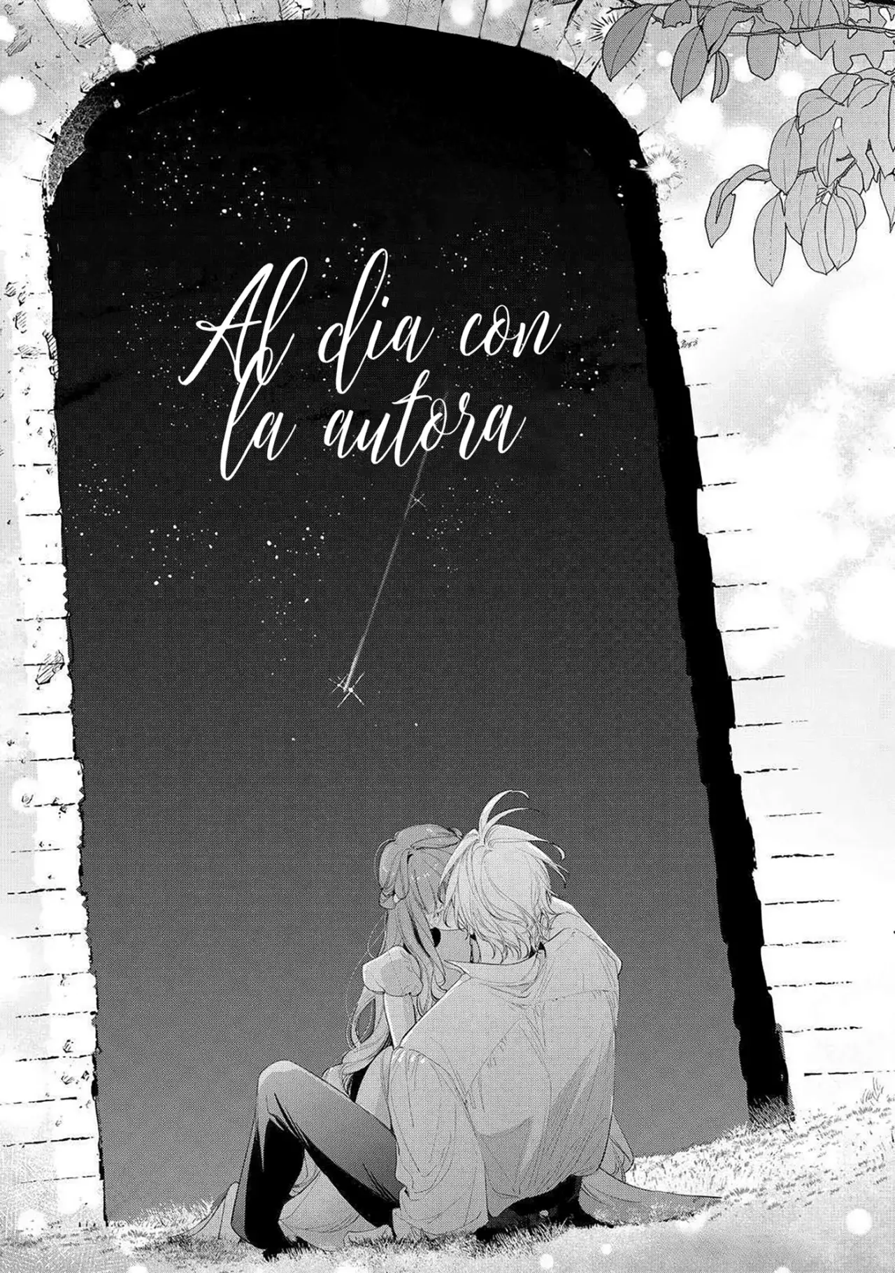 Hana himeru kimi no meteor Capítulo 28 - Página 41 en español