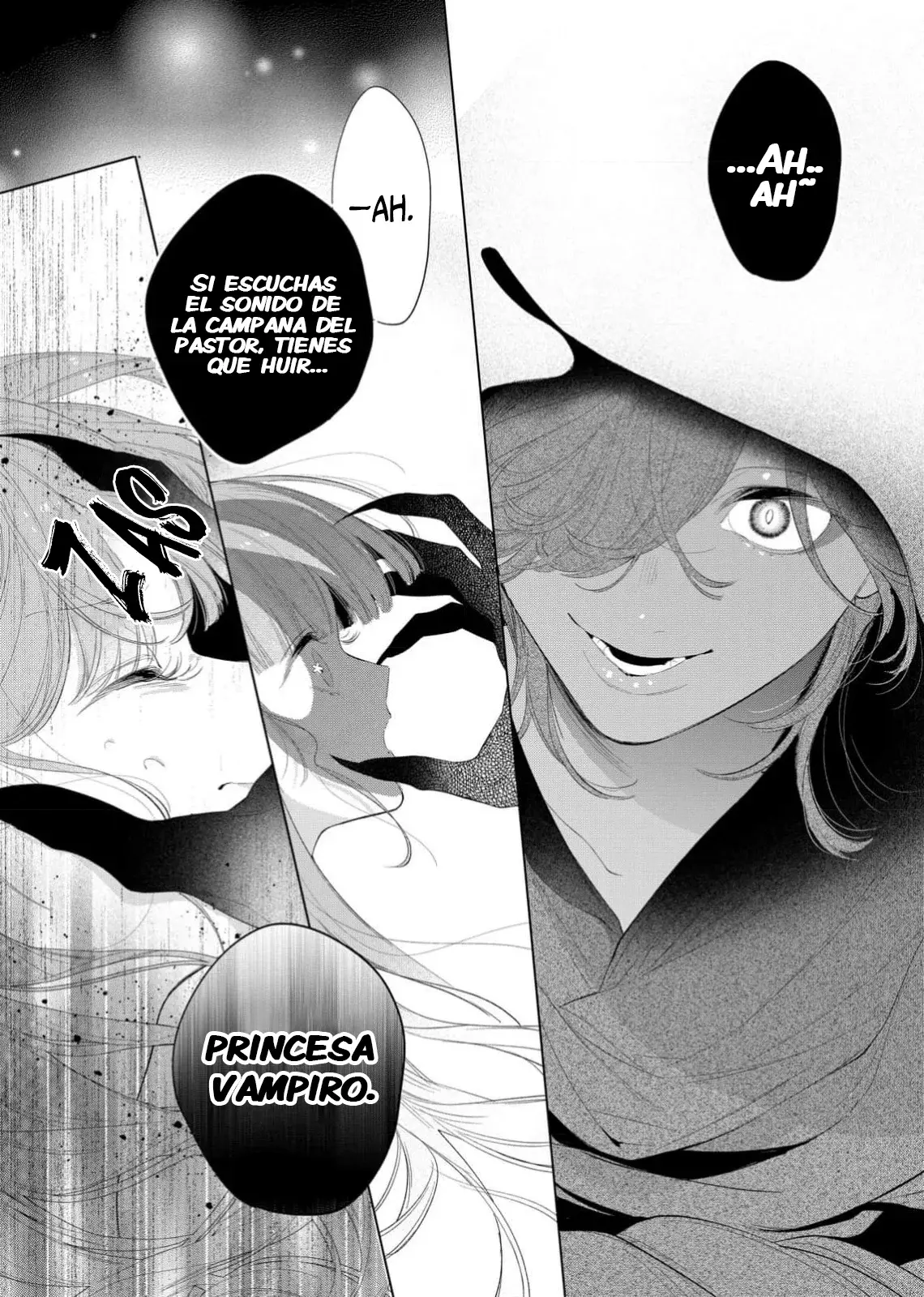 Hana himeru kimi no meteor Capítulo 29 - Página 11 en español
