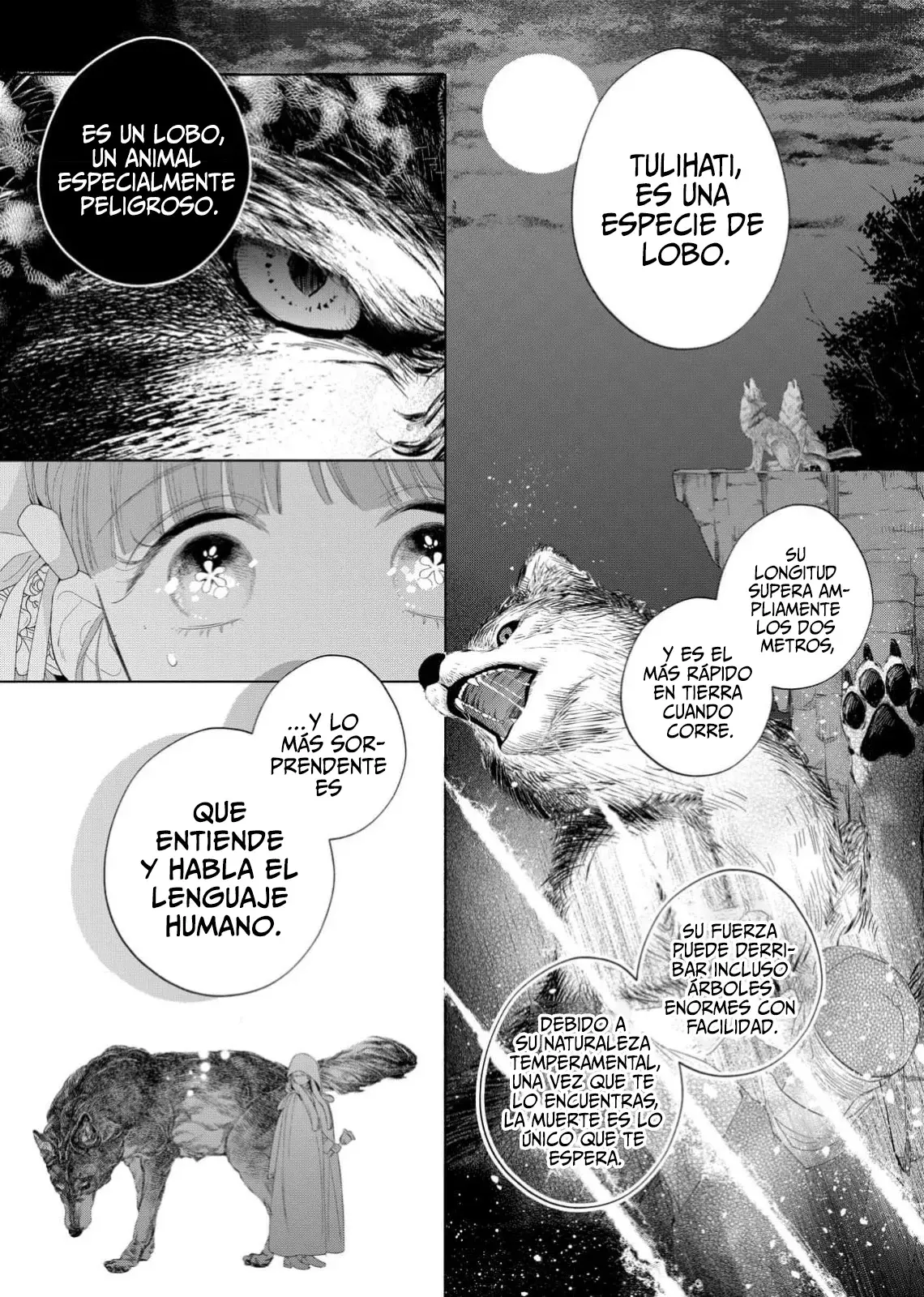 Hana himeru kimi no meteor Capítulo 30 - Página 12 en español