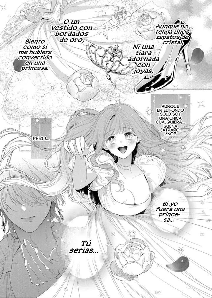 Hana himeru kimi no meteor Capítulo 32 - Página 15 en español