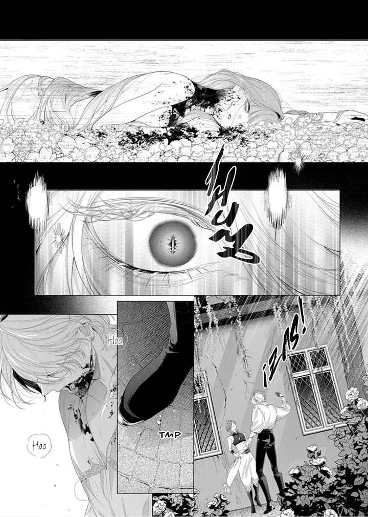 Hana himeru kimi no meteor Capítulo 32 - Página 34 en español