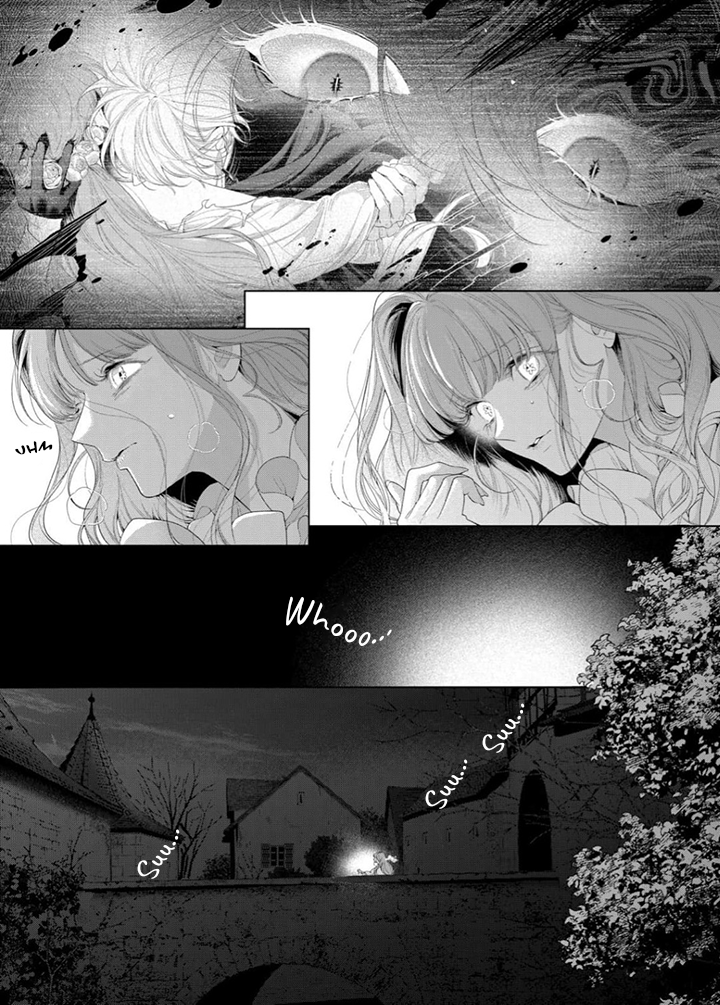 Hana himeru kimi no meteor Capítulo 33 - Página 12 en español