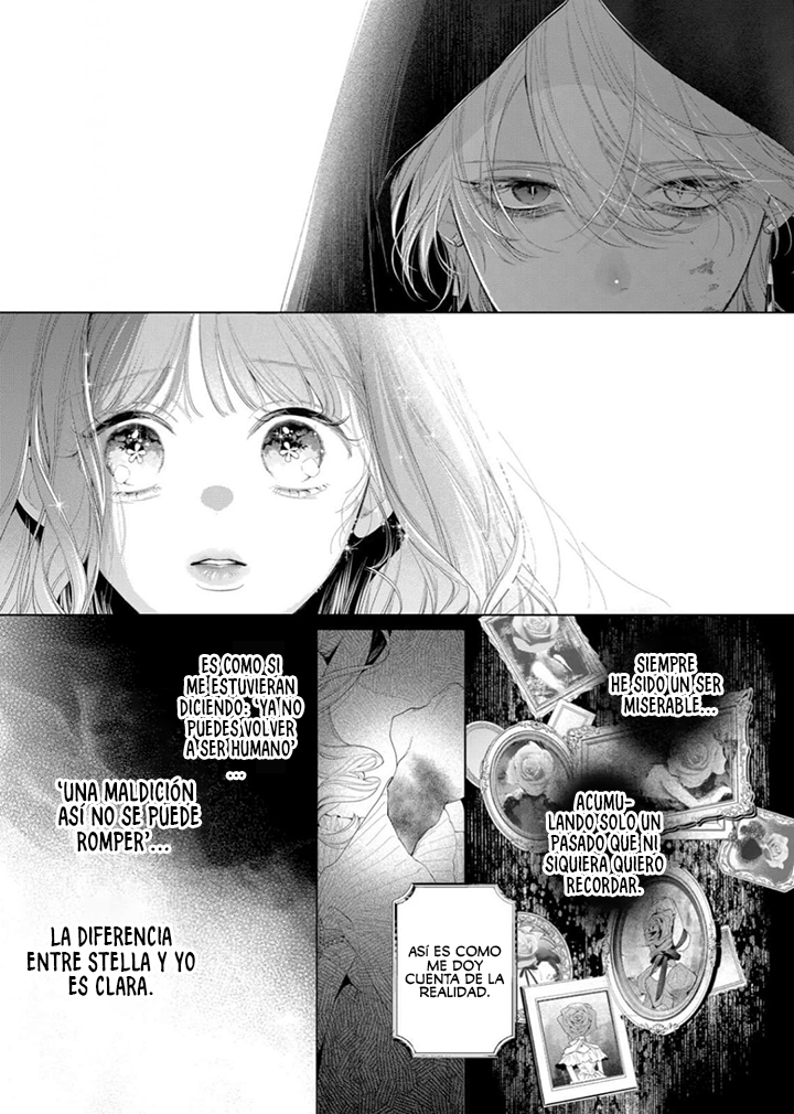 Hana himeru kimi no meteor Capítulo 33 - Página 28 en español