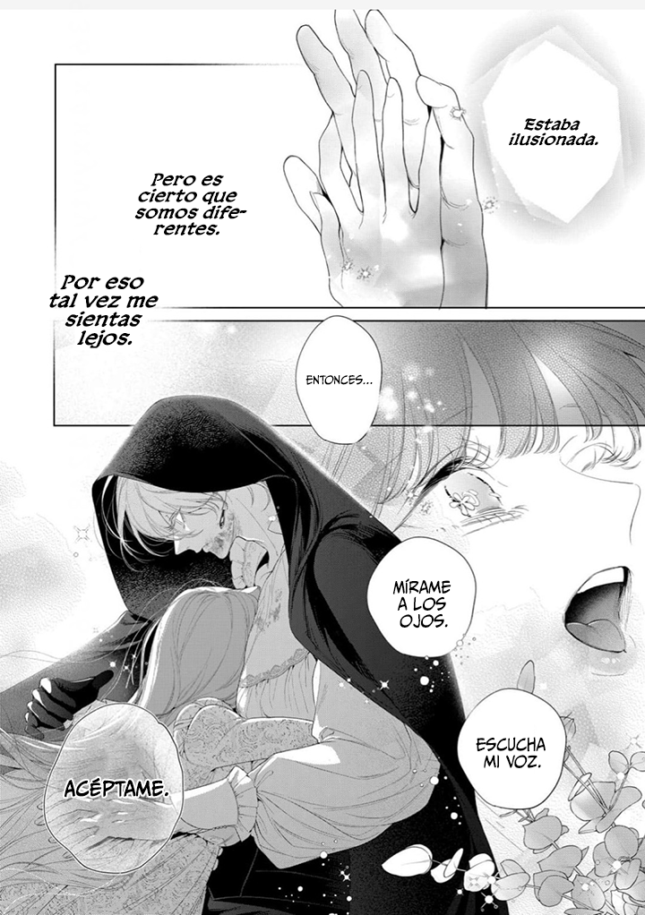 Hana himeru kimi no meteor Capítulo 33 - Página 41 en español