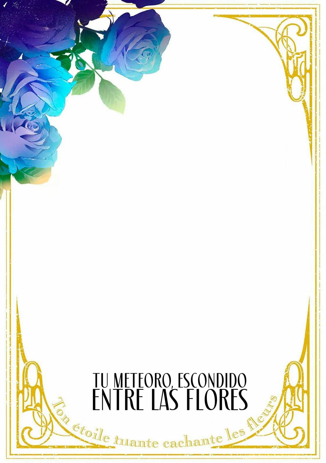 Hana himeru kimi no meteor Capítulo 33 - Página 47 en español
