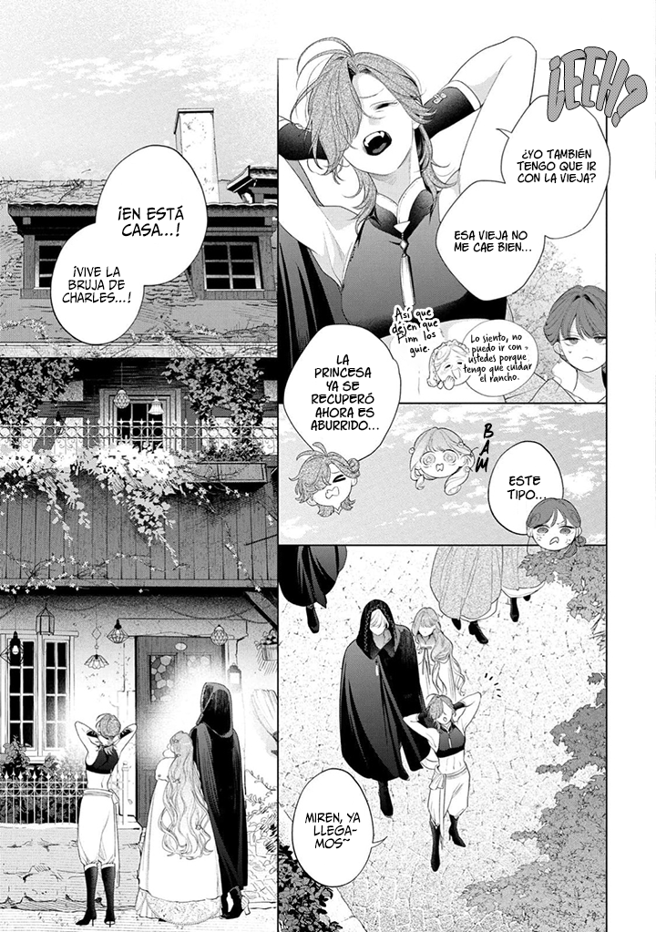 Hana himeru kimi no meteor Capítulo 34 - Página 42 en español