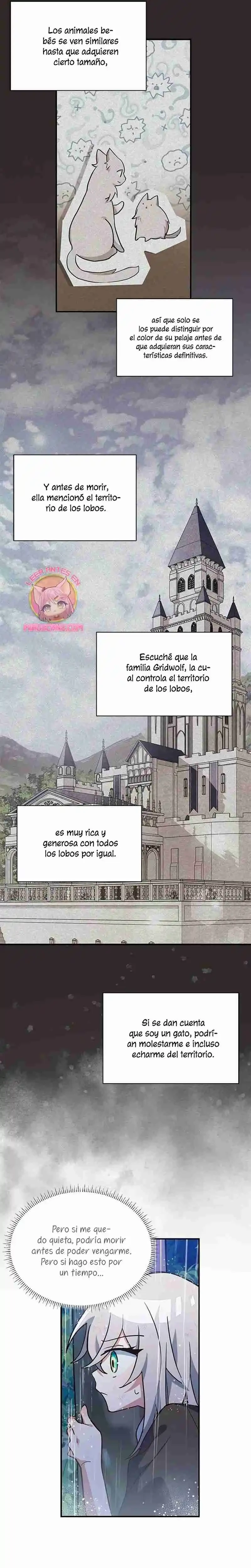 Es un gato, ¿pero fue adoptada por una familia de lobos? Capítulo 1 - Página 16 en español
