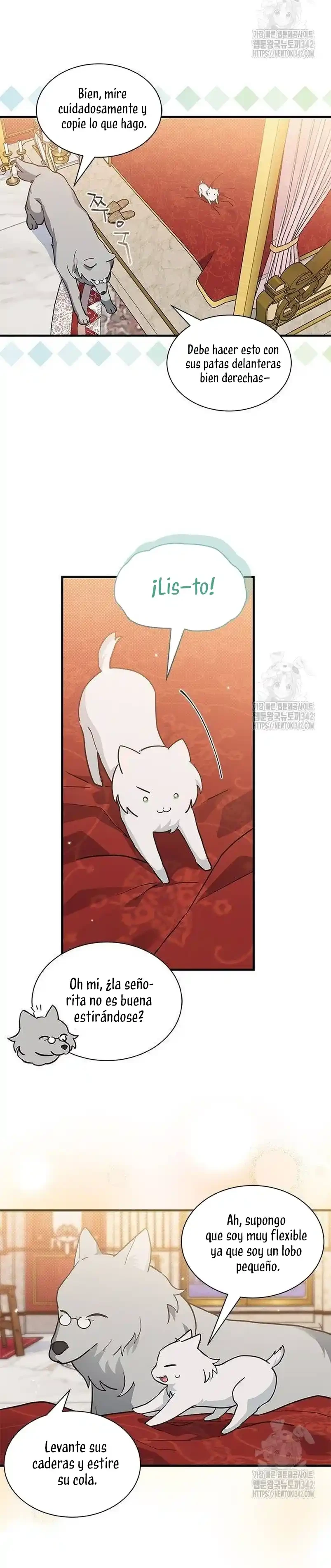 Es un gato, ¿pero fue adoptada por una familia de lobos? Capítulo 19 - Página 22 en español