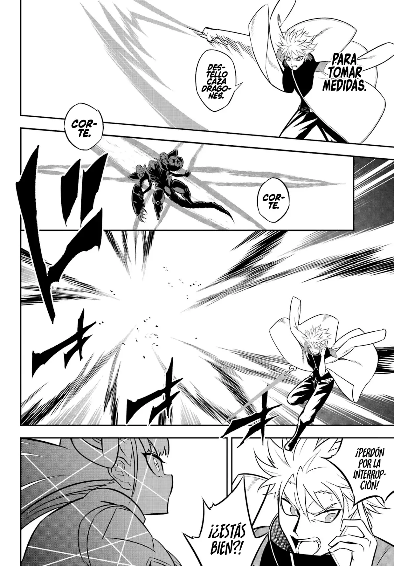 Ragna Crimson Capítulo 70 - Página 4 en español