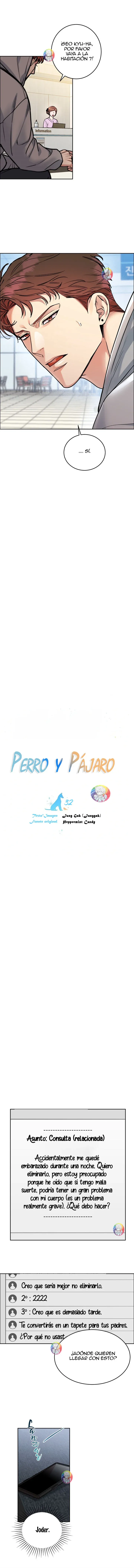 Dog and Bird Capítulo 32 - Página 3 en español
