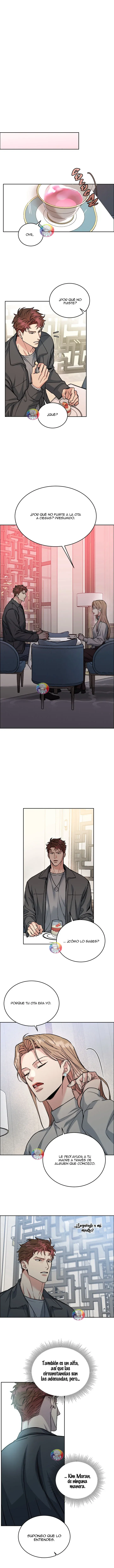 Dog and Bird Capítulo 34 - Página 5 en español
