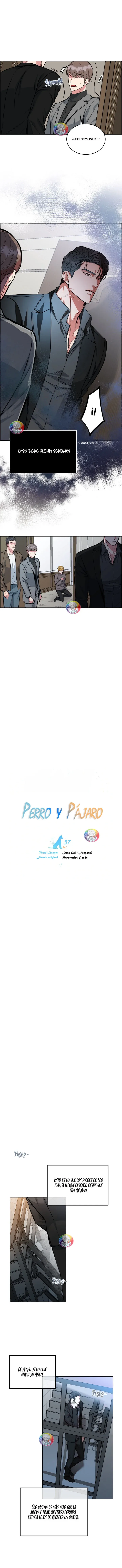 Dog and Bird Capítulo 37 - Página 7 en español
