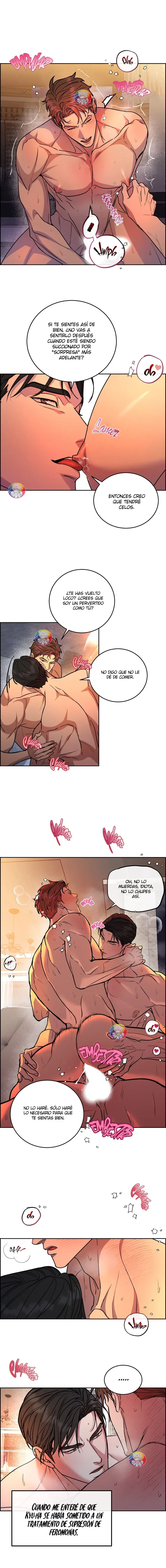 Dog and Bird Capítulo 47 - Página 7 en español