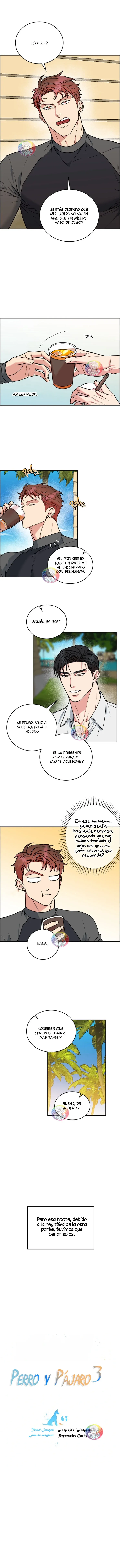 Dog and Bird Capítulo 63 - Página 4 en español