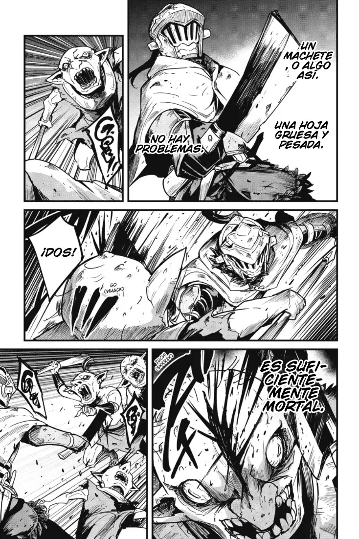 Goblin Slayer: Year One Capítulo 103 - Página 17 en español