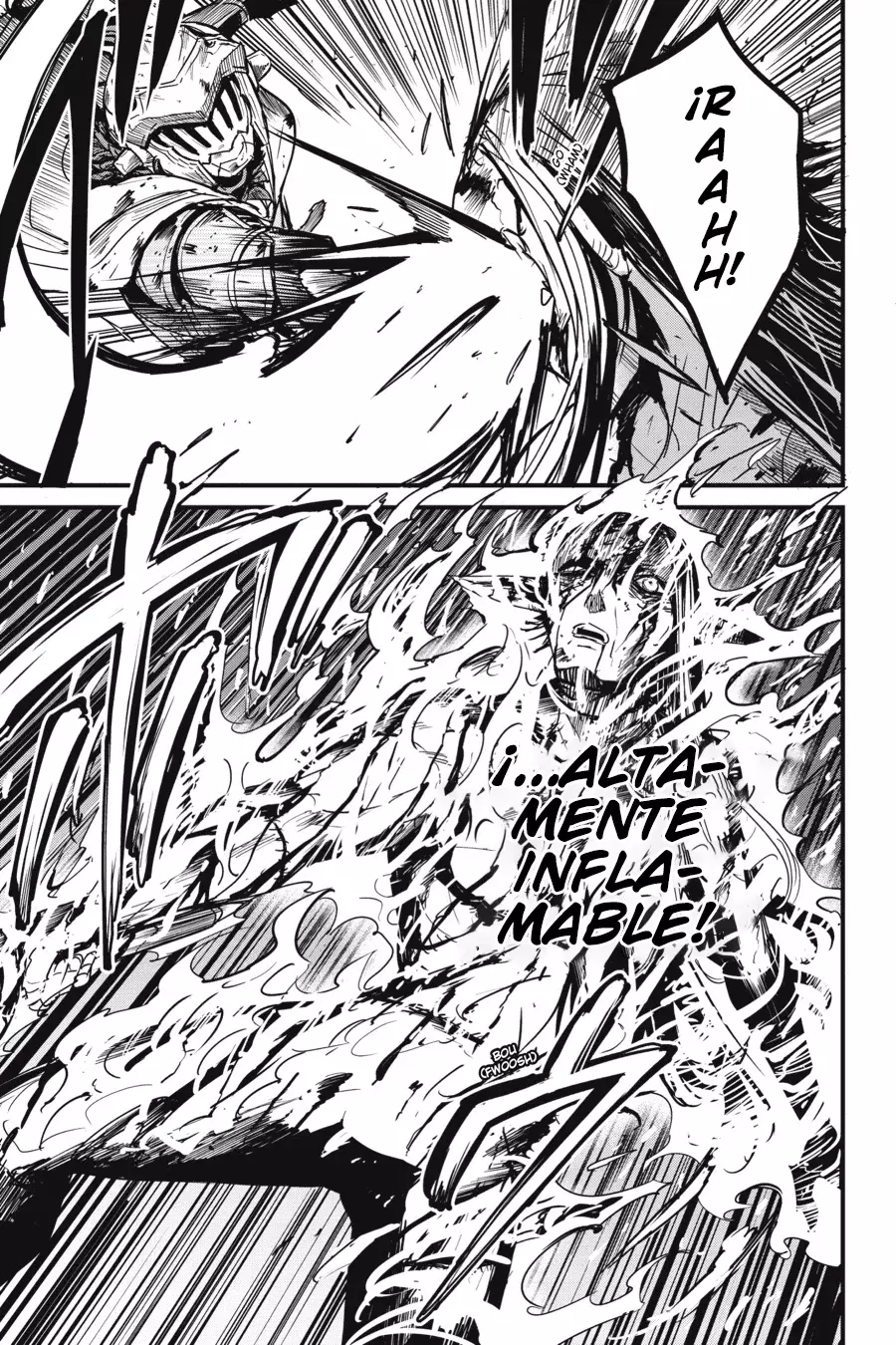 Goblin Slayer: Year One Capítulo 104 - Página 25 en español