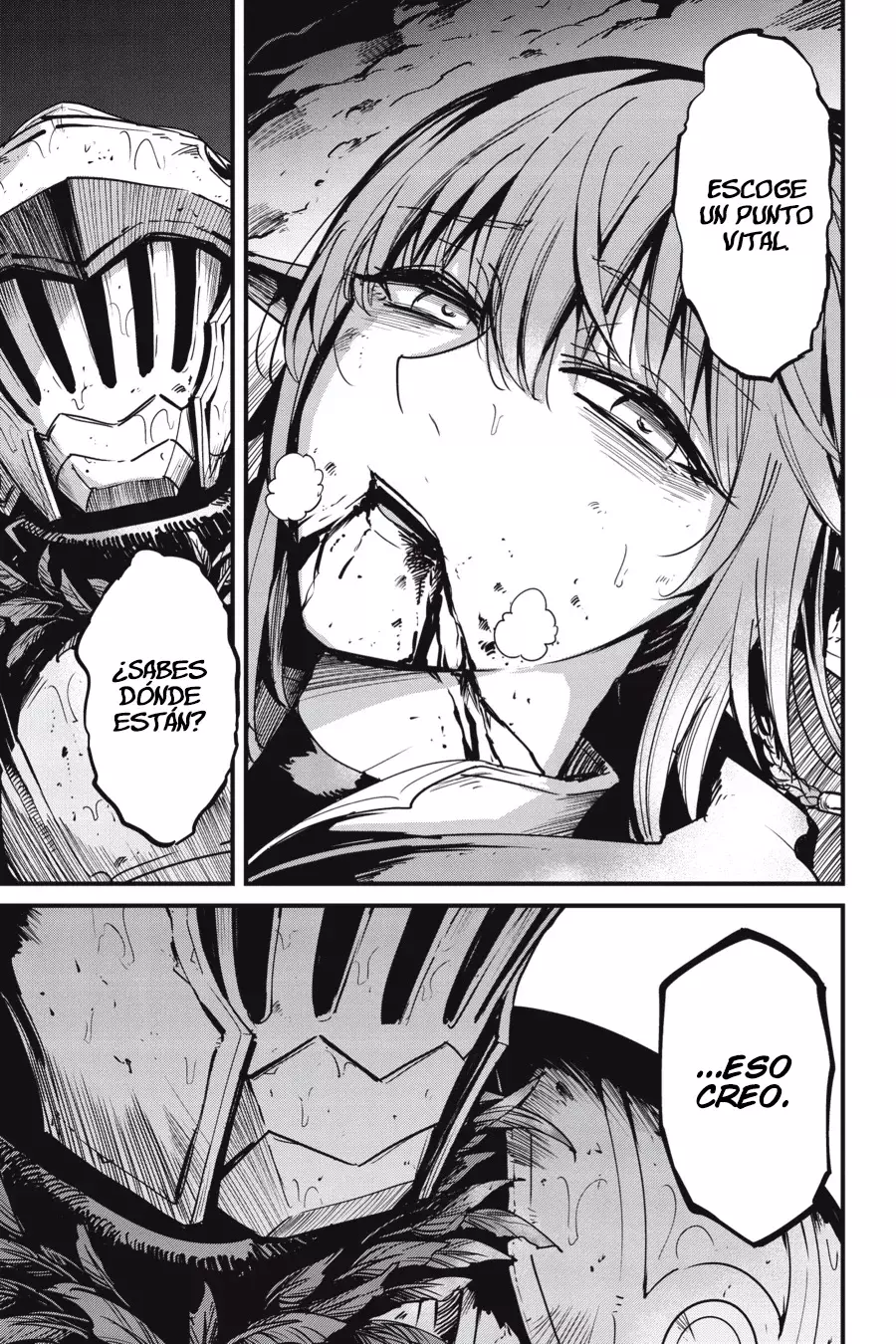 Goblin Slayer: Year One Capítulo 107 - Página 13 en español