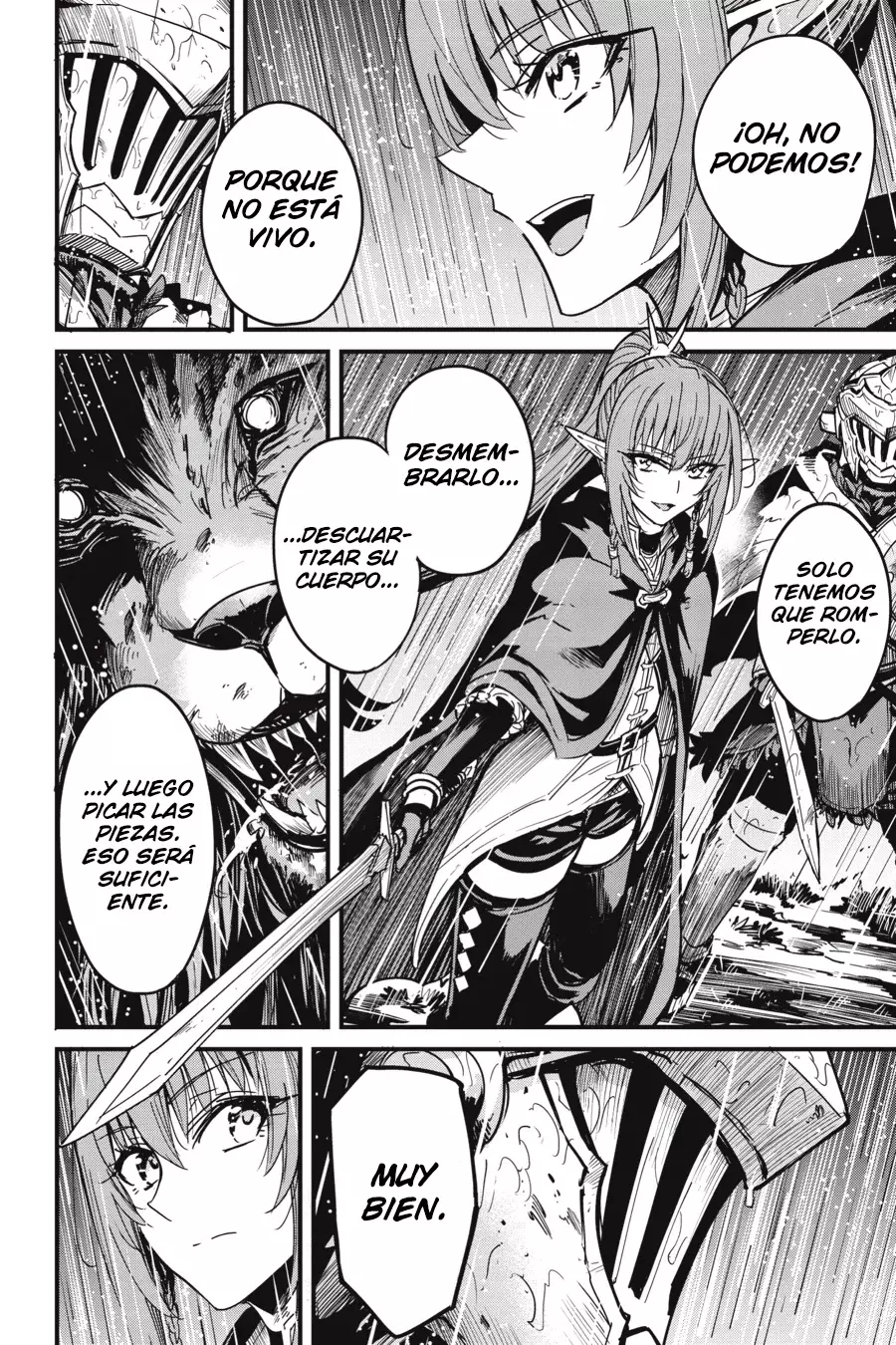 Goblin Slayer: Year One Capítulo 97 - Página 25 en español