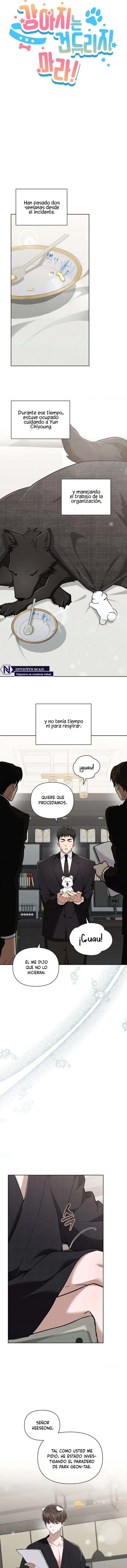 no toques el perro Capítulo 45 - Página 3 en español