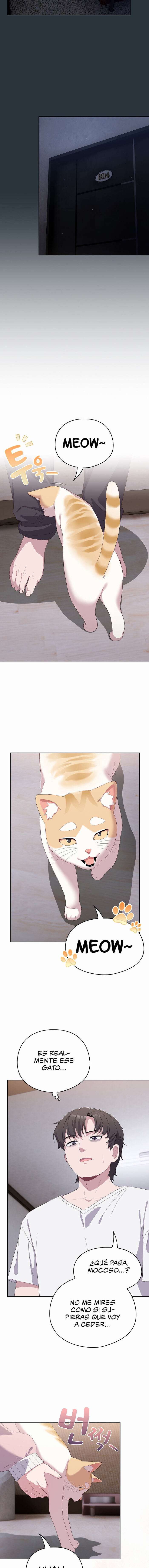 La Amante de los Gatos Capítulo 2 - Página 11 en español
