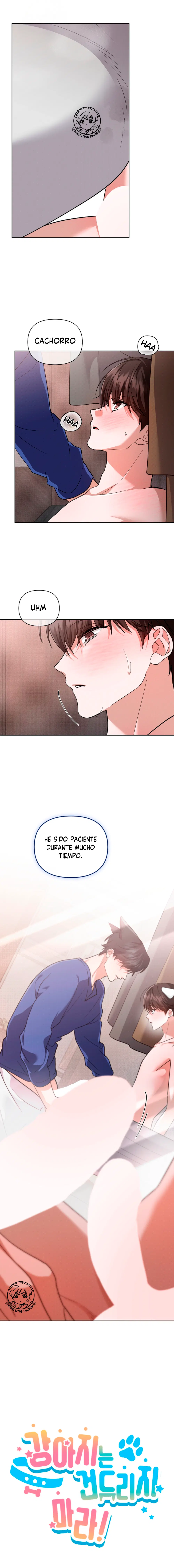No toques al perro Capítulo 47 - Página 16 en español