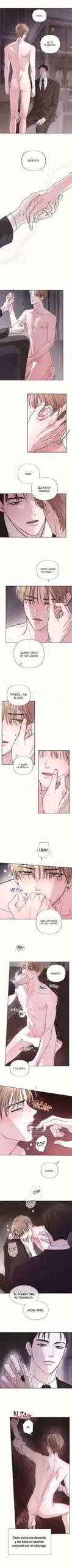 Amor fraternal sin censura Capítulo 1 - Página 3 en español