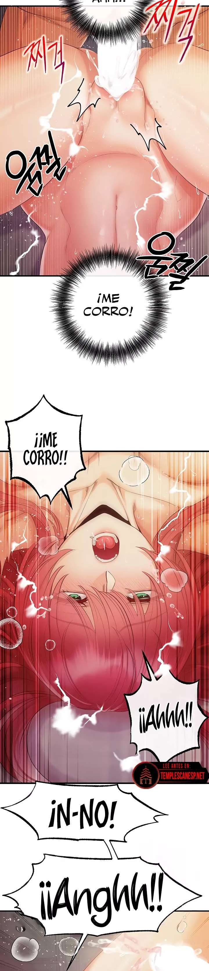 Venganza con mi harem Capítulo 32 - Página 17 en español