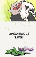 Compañeros de Bambú